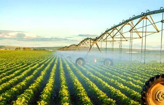 irrigation